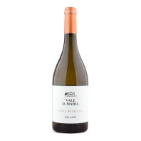 Quinta Vale Dona Maria Vinha de Martim Branco