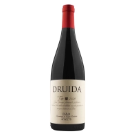 Druida Tinto