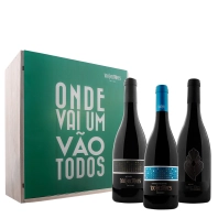 100Hectares Onde Vai Um Vão Todos 3x Tinto